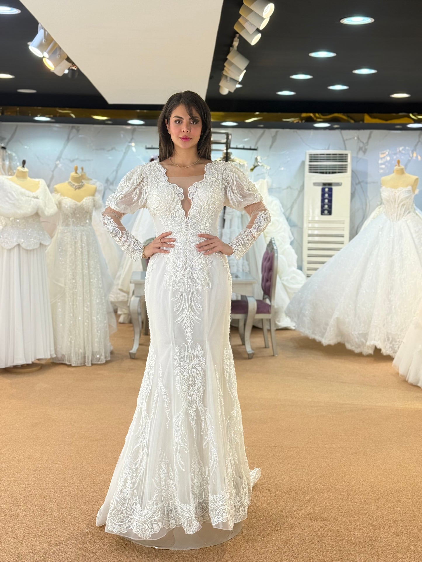 Elegant Lace V-Neck Bridal Gown